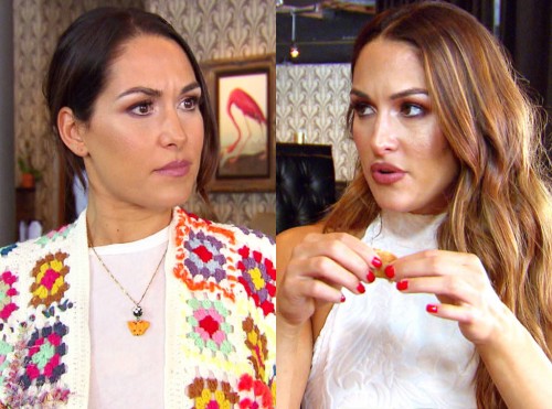 Nikki Bella Is Really Disappointed In Brie For Asking Daniel Bryan To Put In A Good Word For Her At Wwe Watch